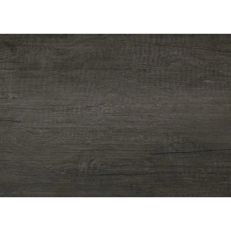 B1450 Amelia