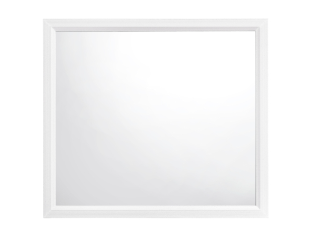 1645WHT Youth-Davi Collection