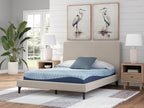 M204 - 8" Memory Foam (Firm) - Twin, Full **NEW ARRIVAL**